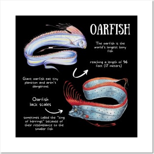 Animal Facts - Oar fish Posters and Art